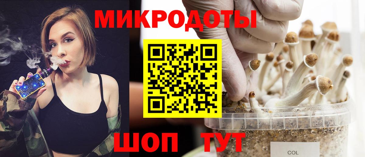 Ишим  Галлюциногенные грибы ЛСД  Псилоцибиновые грибы Magic Shrooms  Вход с VPN 